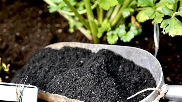 coconut shell charcoal for agriculture