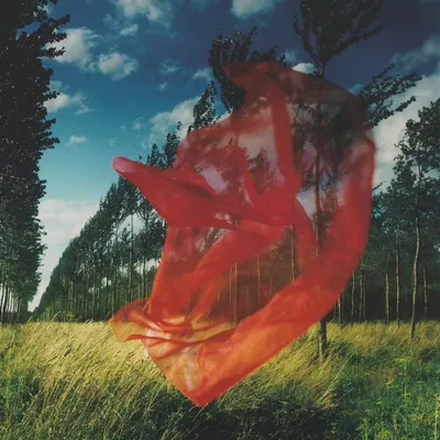 我種樹，我乘涼