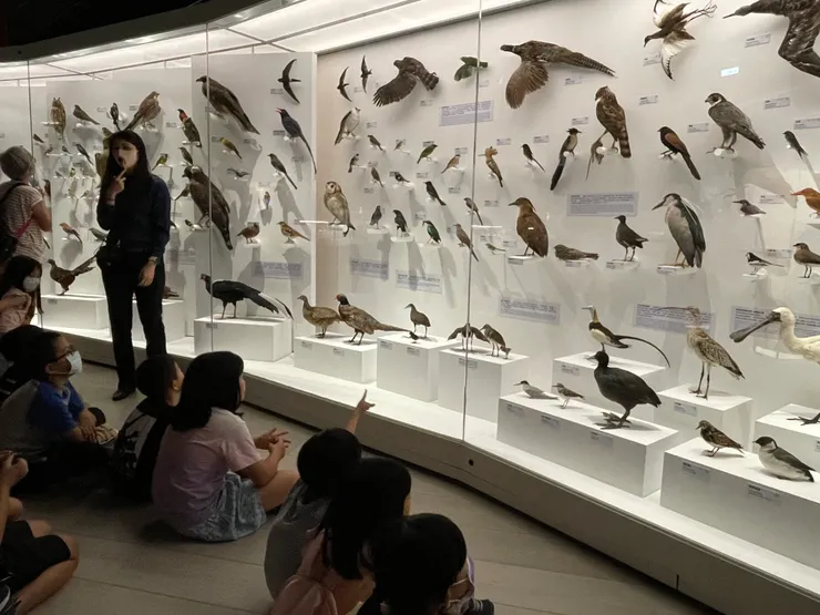 這裡收藏了最常見的百種鳥類