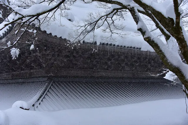 窗外望去，屋簷都覆蓋著厚厚的雪