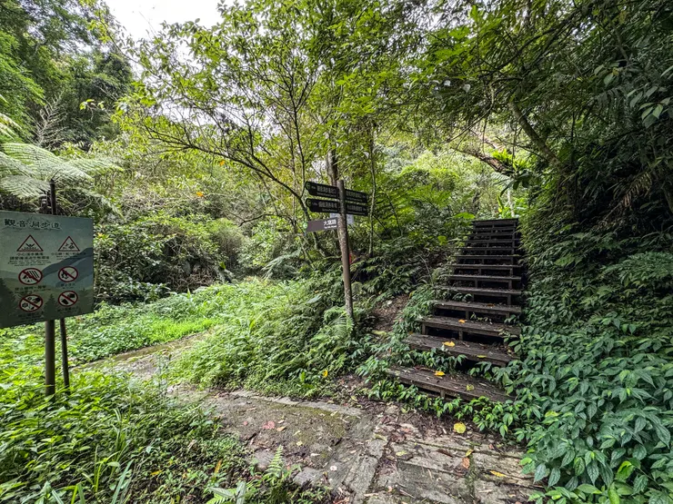 0959 到逹大窩路及觀音洞叉,取左。