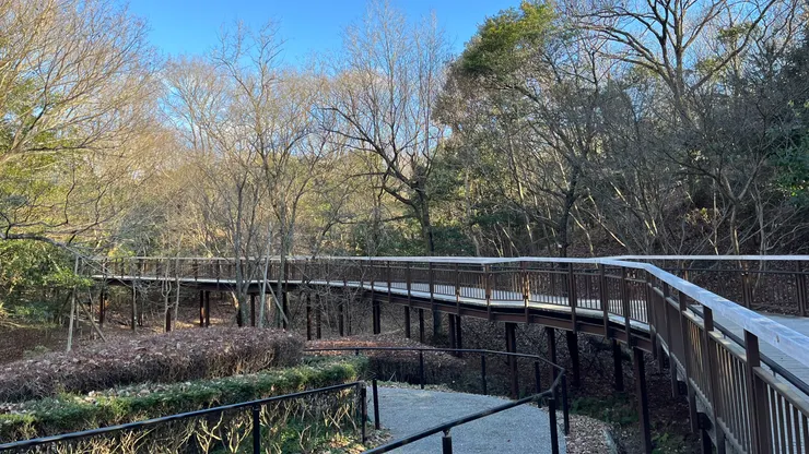 有種畫風大變，來到森林遊樂區的感覺。