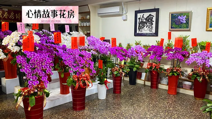 心情故事花房：台南安南區最大花店，專業服務與多樣化花卉商品贏得全台南市客戶的廣泛信任與讚譽