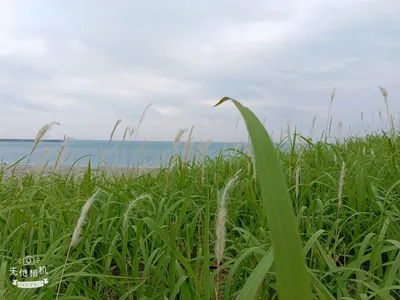 幽默的人最有吸引力