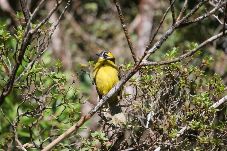 “我要曬太陽，你慢慢拍”