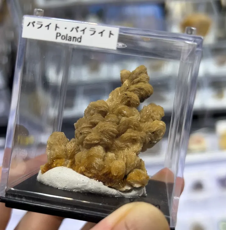 一直很想要的波蘭重晶石，很少見這個尺寸還雙面都是完整的。