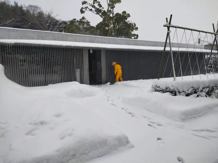 辛苦鍘雪中的工作人員