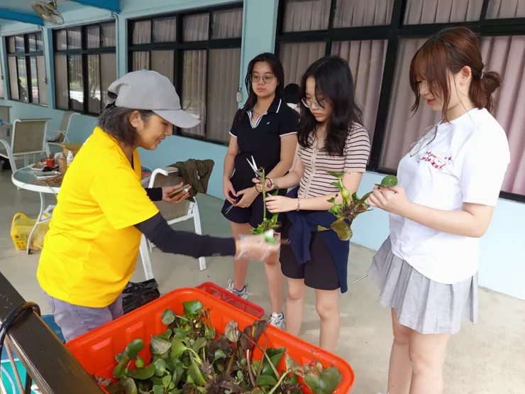 布袋蓮結合教學與環保概念