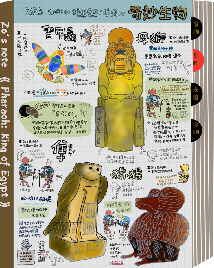 202603-古埃及展-生物