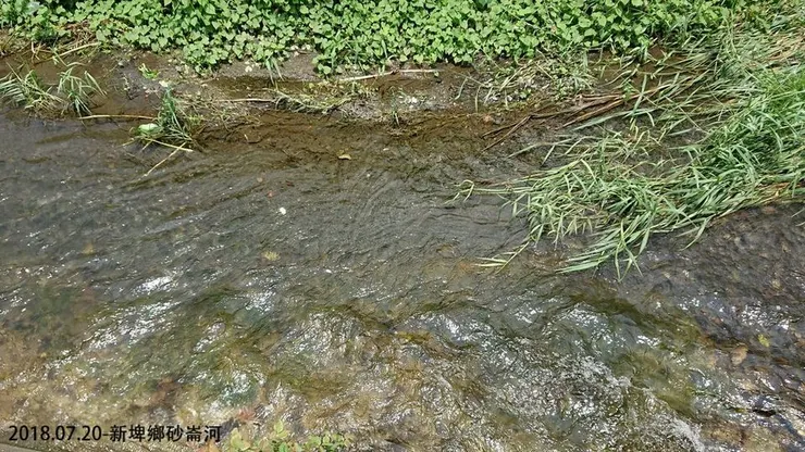 屏東縣新埤鄉砂崙河 經社區聯合巡防之後，2018年開始至今，水清魚游，不需任何硬體工程淨化，僅靠源頭管理成功