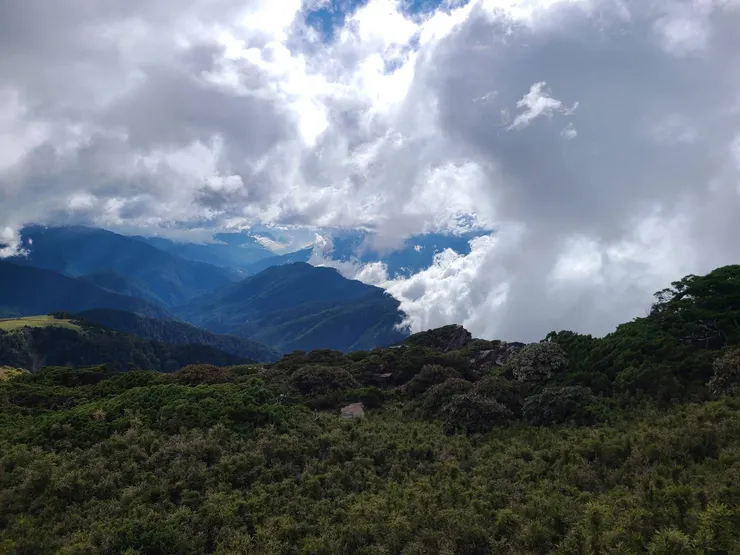 風雨欲來