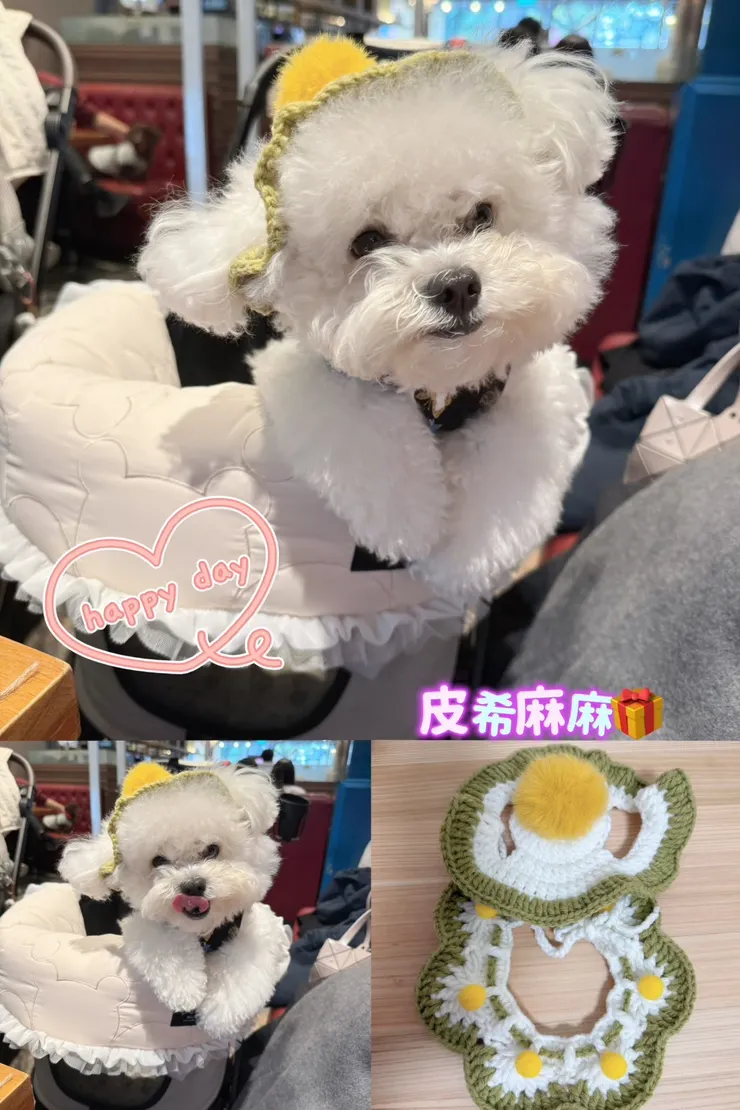 難的配合戴帽子😚