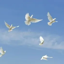 無國界姊姊的沙龍