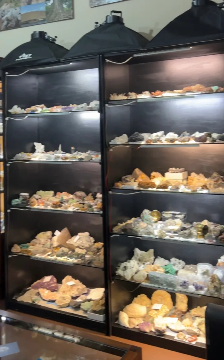 展櫃裡滿滿都是礦物標本