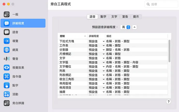 詳細程度頁籤內容：語音、點字、文字、宣告、提示