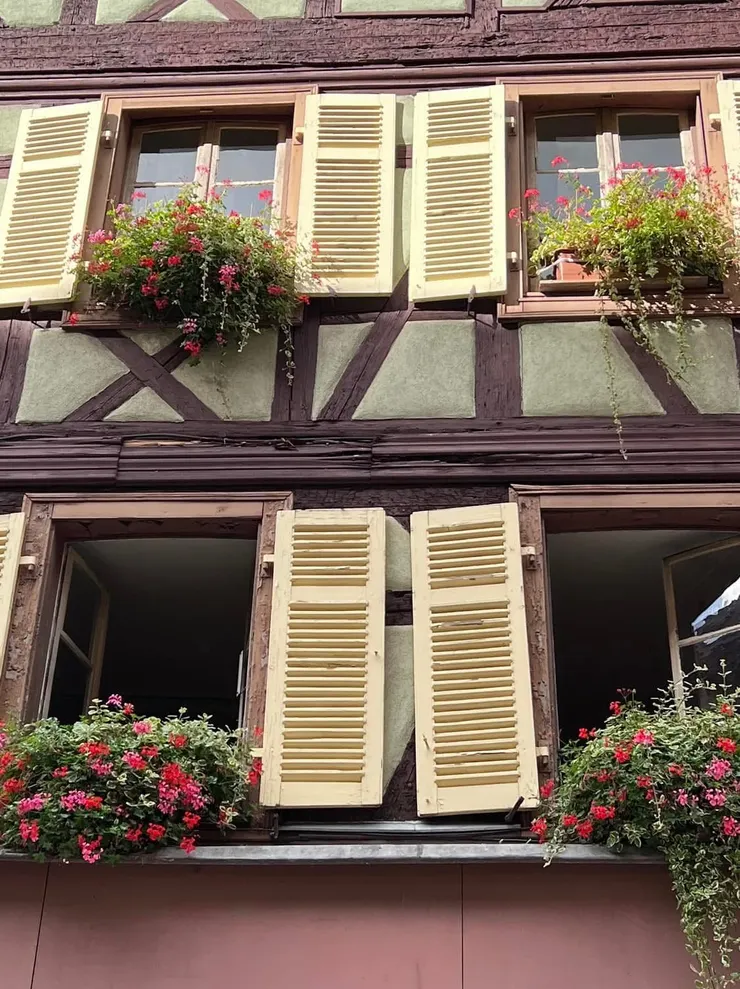 有花花草草的窗口特別吸睛