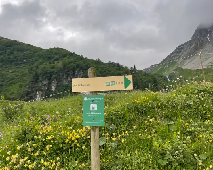 晚上7點-早上9點開放野營