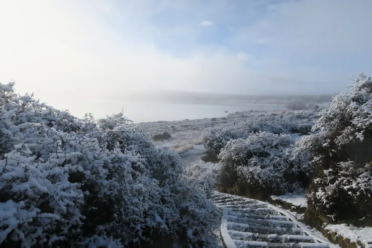 走著走著雲霧竟然開了,陽光透了出來,看起來頗有萬物甦醒的感覺