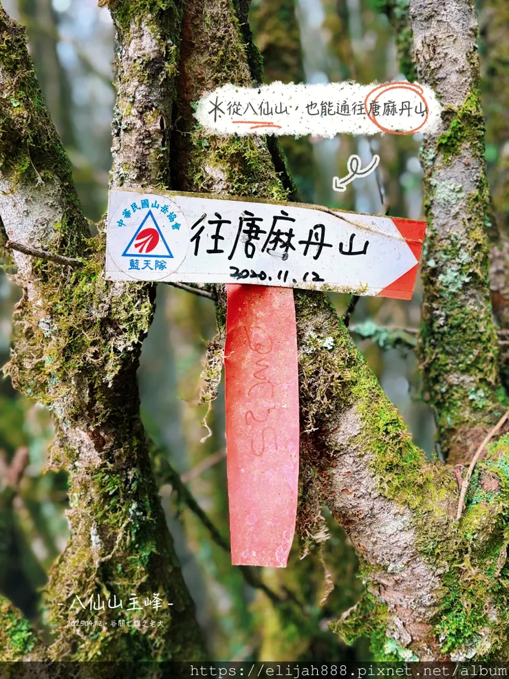 【谷關健行/住宿】谷關七雄老大。海拔2366公尺八仙山主峰。