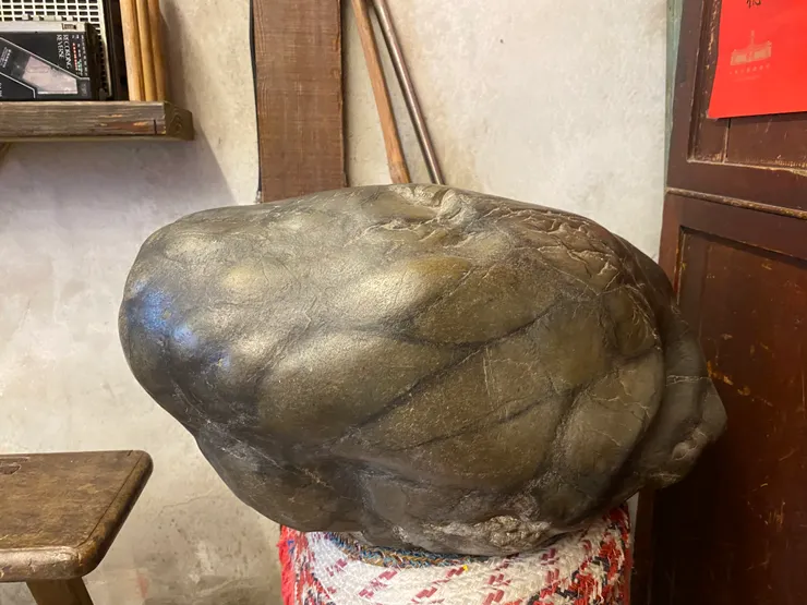 金蟾蜍石