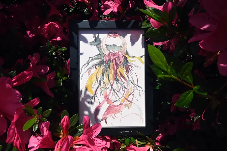 最近正是杜鵑花盛開的季節。