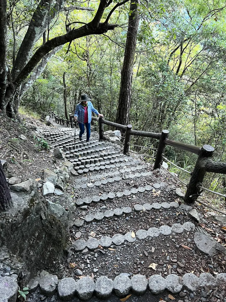 步道的材質會隨著時間與氣候更迭