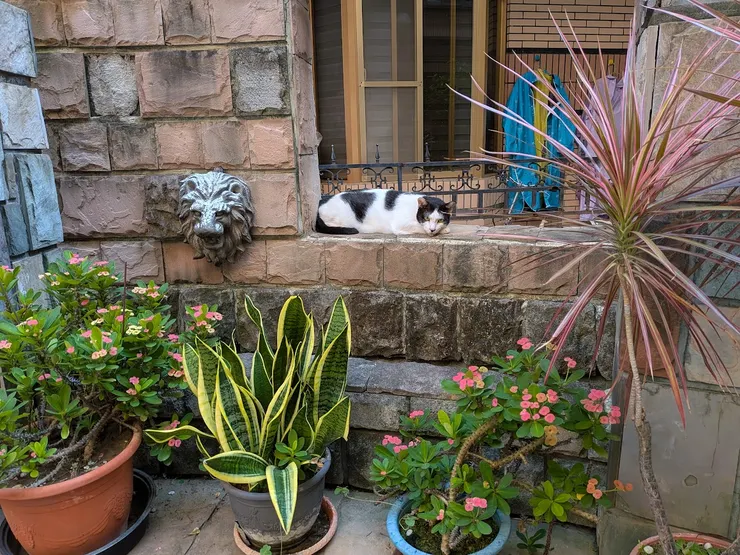 麻吉的巷弄攝影