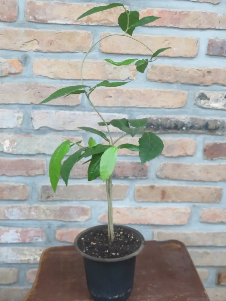 淡水社大113.04.09