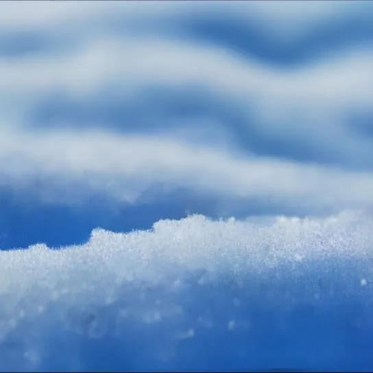 *使用AI技術生成的封面相片*