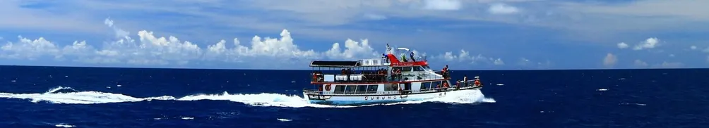 花蓮賞鯨多羅滿賞鯨的沙龍