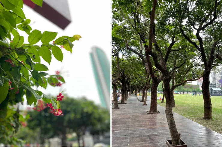 今日份的 IKIGAI:台中市民廣場