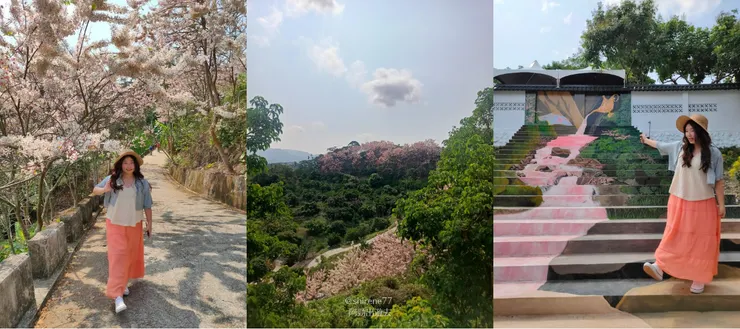 隨手一拍都很好看，喜歡拍照的朋友趕緊安排時間到訪。