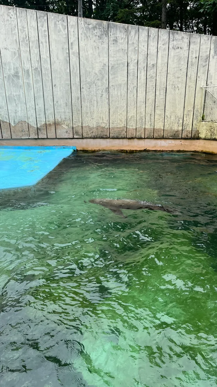 將寒帶動物一次蒐集。