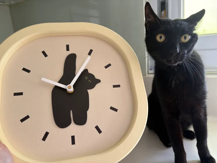 新時鐘（剛好和黑黑來張合照嘿嘿）