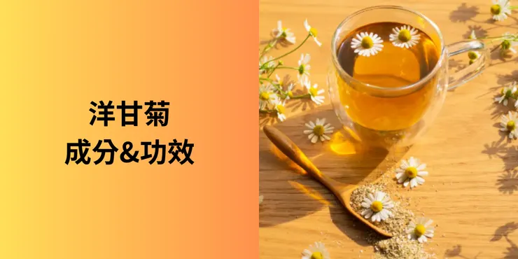洋甘菊成分&功效