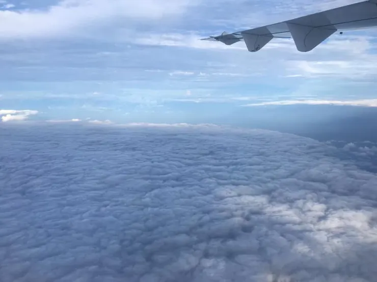 無論如何，都要飛，只是飛到另一邊去找另一種蘭