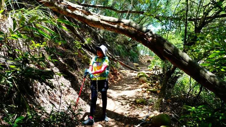各種路況在火炎山山徑上都有