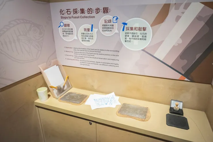 拓印體驗：動手玩還能留下紀念