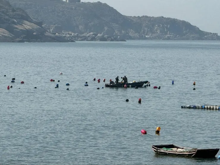 家族世居橋仔澳口的王家凌，日日望向海、航入海，便是他的生活方式。 （王家凌/照片提供）