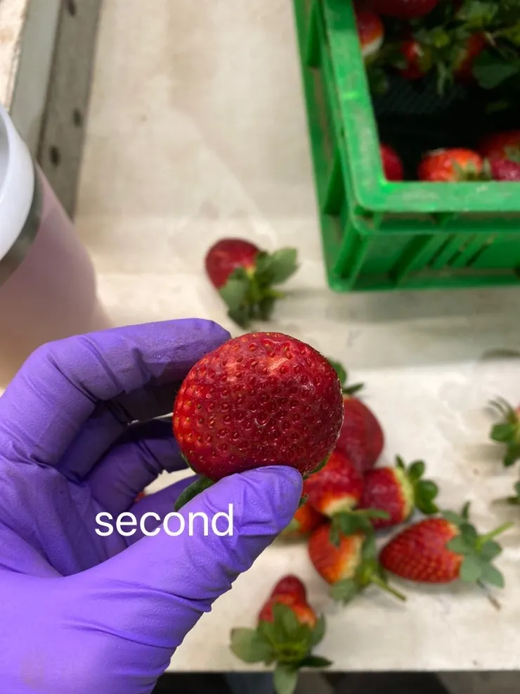 以上進second的都是乾傷，如果可以藏起來，還是能放進正常盒子裡。