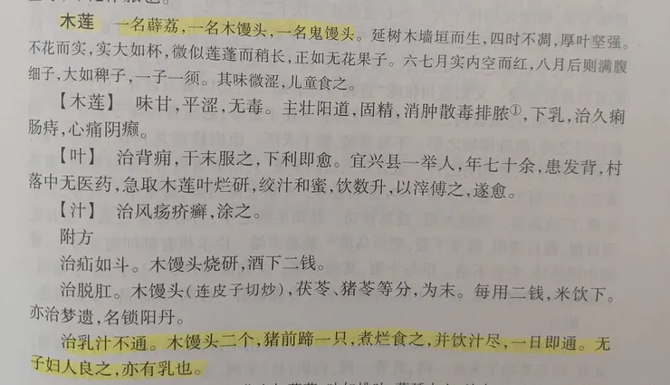 明代《食物本草》提到薜荔有通乳的功效。