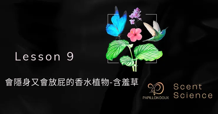 香味的科學 Ｌ-9 會隱身又會放屁的香水植物-含羞草