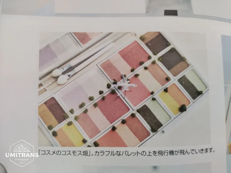 用彩妝盒組成飛機飛過的大波斯菊田