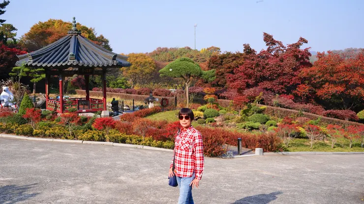 修剪成魚造型的植栽