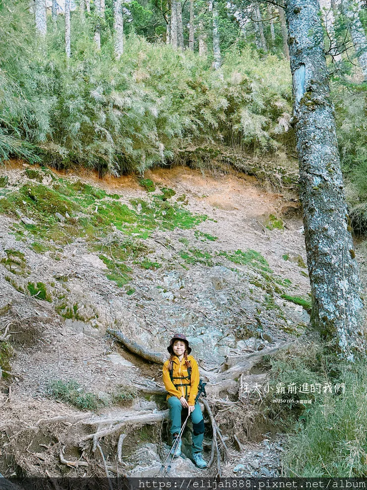 【大霸群峰4百岳。兩天一夜】伊澤山。小霸尖山。大霸尖山。加利