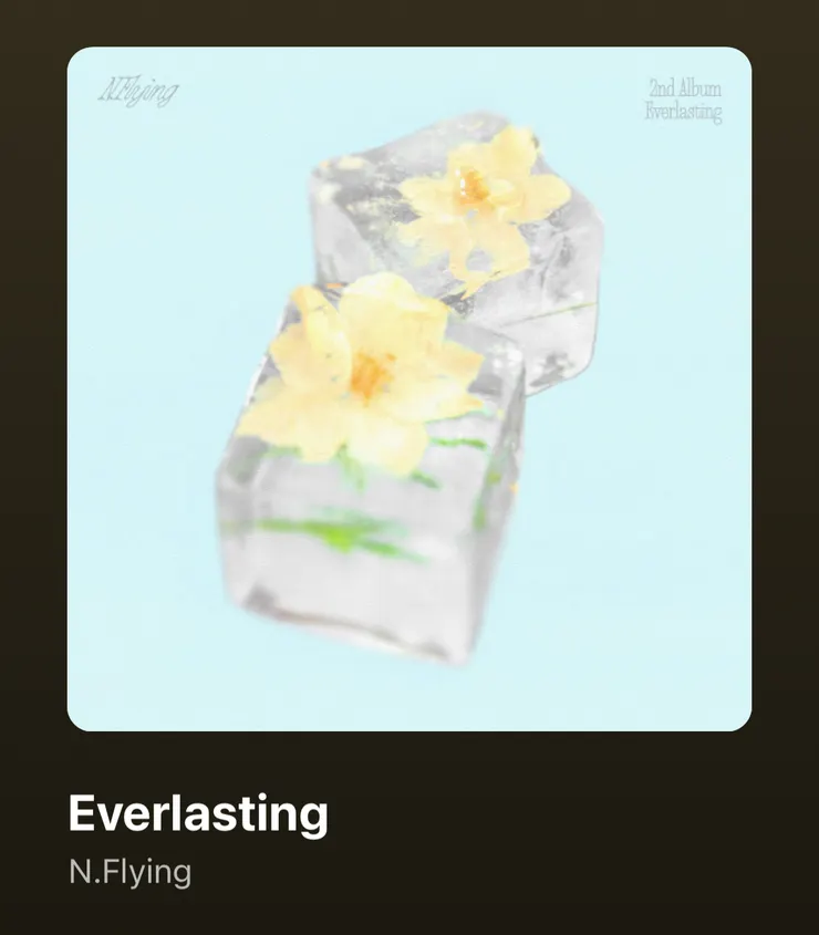 2️⃣〈Everlasting〉——N.Flying