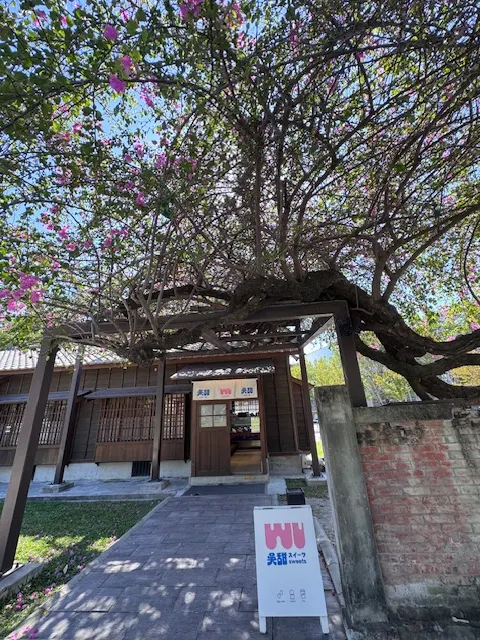 2025/11國漫館九重葛，photo by bookarchery