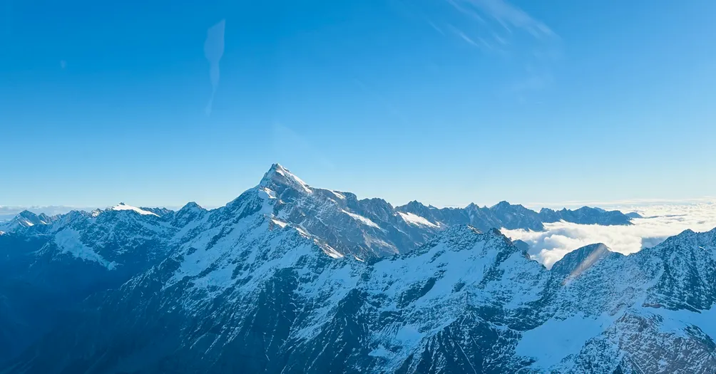 Richy's投資辦公室