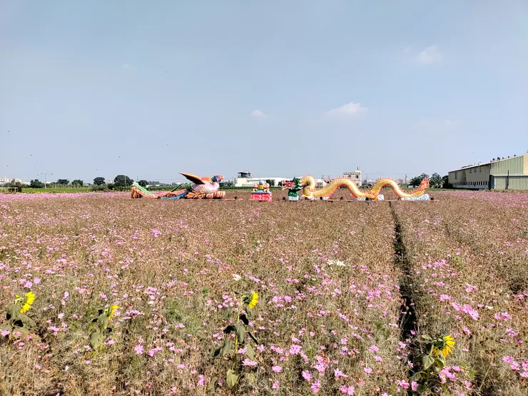 龍與？？........