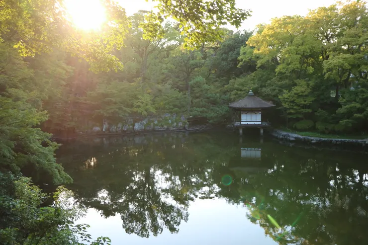 沒有楓葉一樣很美